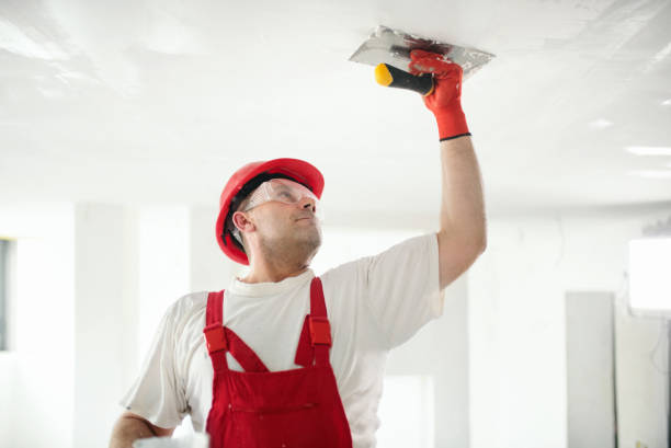 Best Acoustic or Soundproof Drywall Installation  in Grand Terrace, CA