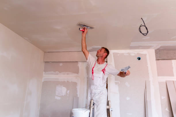 Best Wall Texturing and Painting  in Grand Terrace, CA